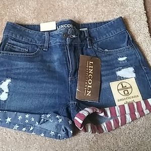 American flag shorts